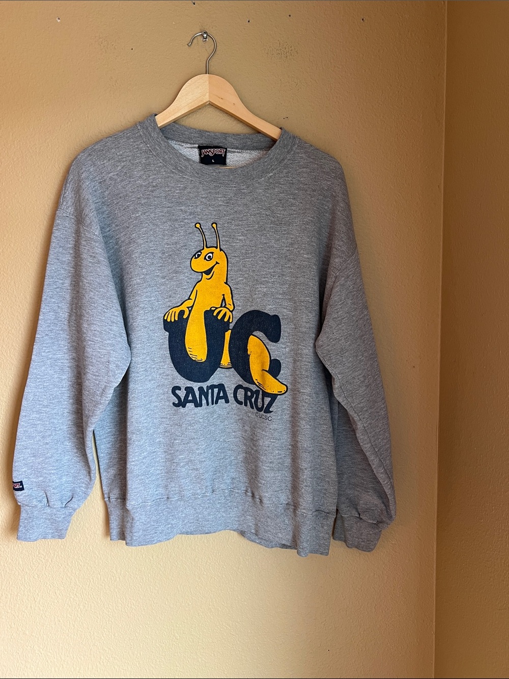 Santa Cruz Slugs Sweatshirt Sammy The Slug Vintage 1990’s Jansport Large EUC